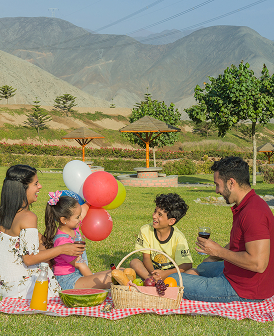 Condominio calango card